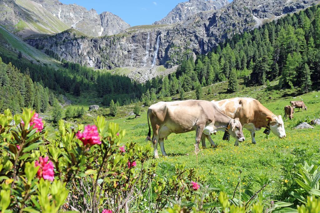 Chalet Tschallener Ried im Oberinntal Luaran gambar